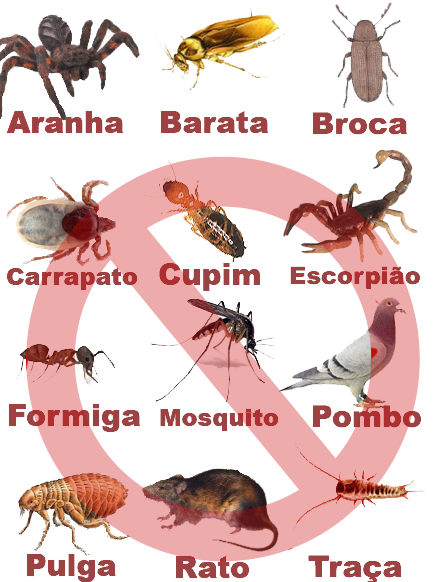 Jax Desentupidora - Foto 2